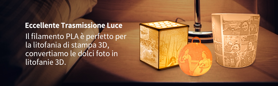 SUNLU PLA White Filamento 3D Lithopanhes