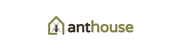 anthouse formichieri