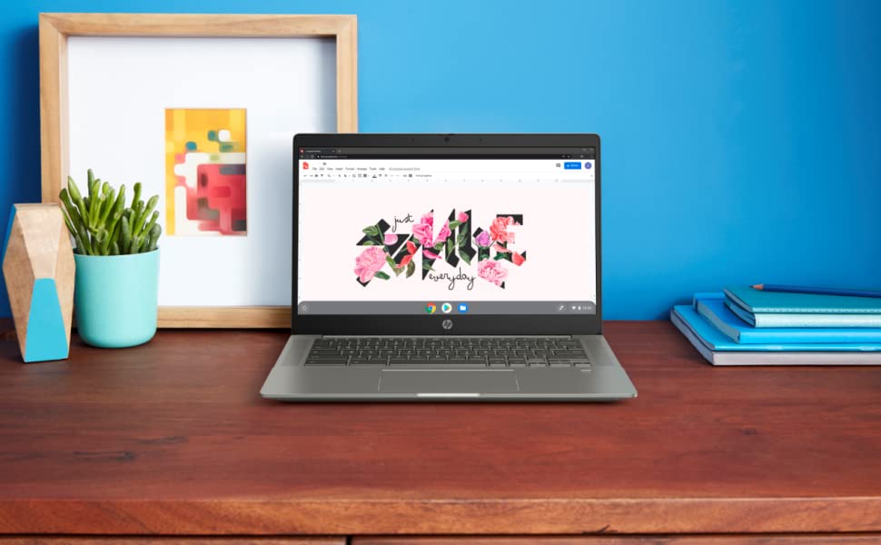 HP Chromebook Notebook