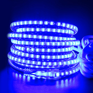 LED Strip Blue Light Waterproof