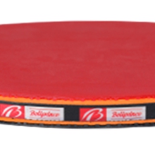 Racchette da Ping Pong Professionale