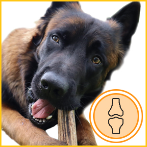 Questo corno da masticare per cane aiuta a migliorare la salute delle ossa e delle articolazioni