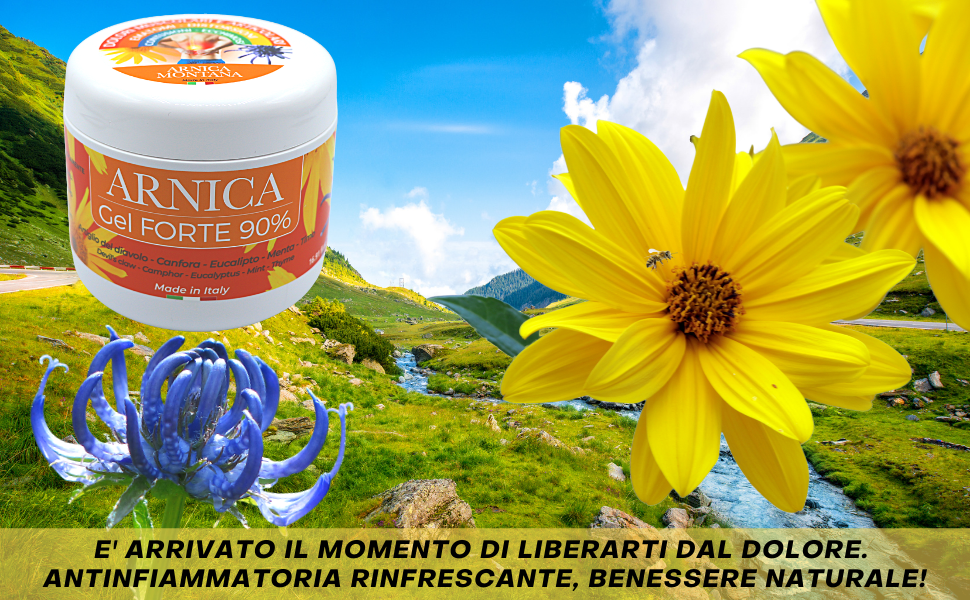 arnica 