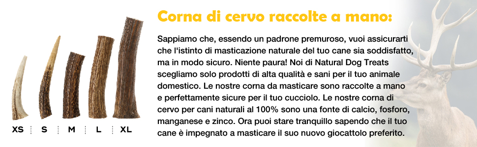 Questi corni raccolti a mano sono fonte di nutrienti 