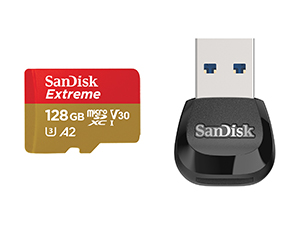 Lettore, SanDisk, mSD