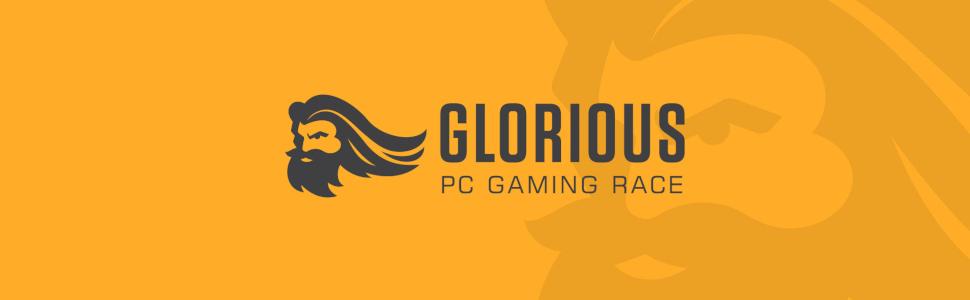 glorious pc gaming race