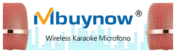 wireless karaoke microfono