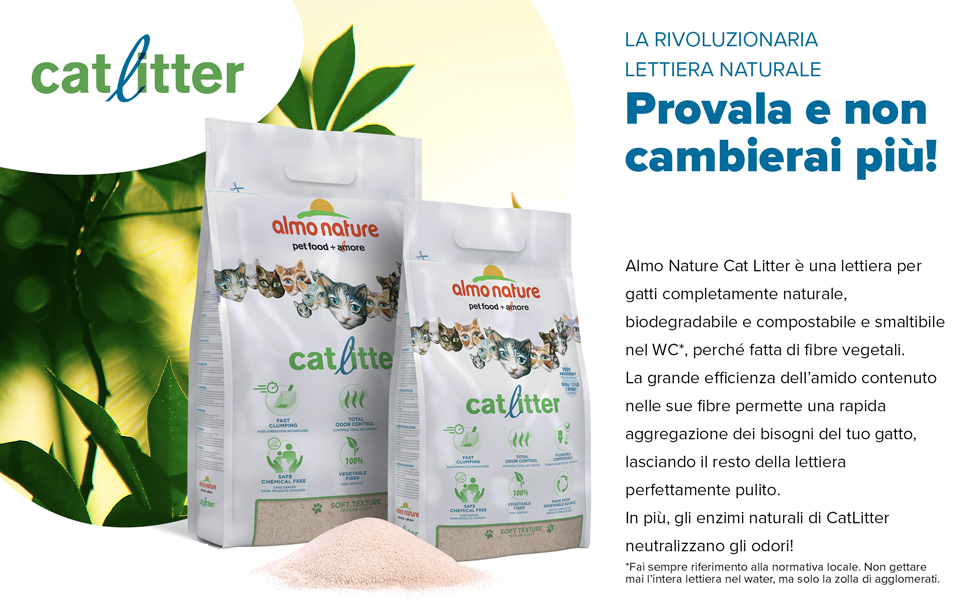 cat litter main visual