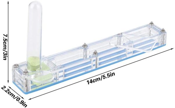 Ant House Formica acrilica Allevamento Casa Formicarium Scatola da esposizione Formica trasparente Alimentazione formica Nido vivente Insetto fattoria Caso idratante con torre d'acqua Idratante (blu) - immagine 8
