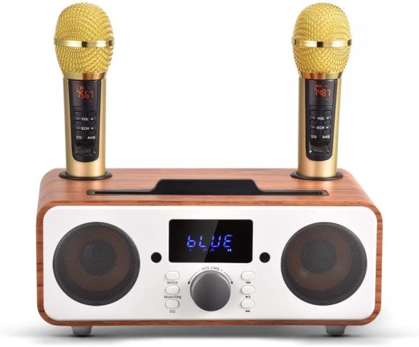 GJCrafts Karaoke Bluetooth Portatile, Sistema di Karaoke PA con 2 Microfoni Wireles, Karaoke Macchina Altoparlante con Supporto per Cellulare/USB, Sostegno Scheda TF/AUX In, per Riunioni, Picnic(Nero) - immagine 9