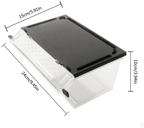 Arvin87Lyly Insect Box - Contenitore trasparente per rettili e anfibi, per serpente, lucertola, tartaruga, ragno, rettile - immagine 2