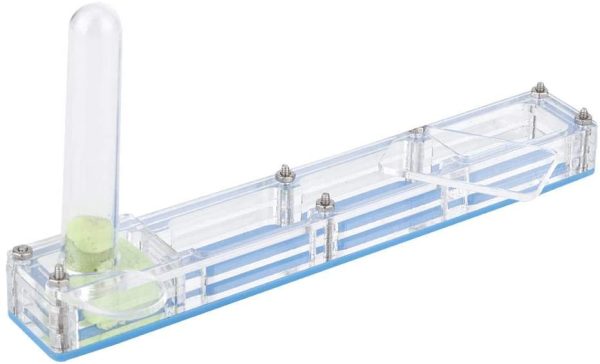 Ant House Formica acrilica Allevamento Casa Formicarium Scatola da esposizione Formica trasparente Alimentazione formica Nido vivente Insetto fattoria Caso idratante con torre d'acqua Idratante (blu)