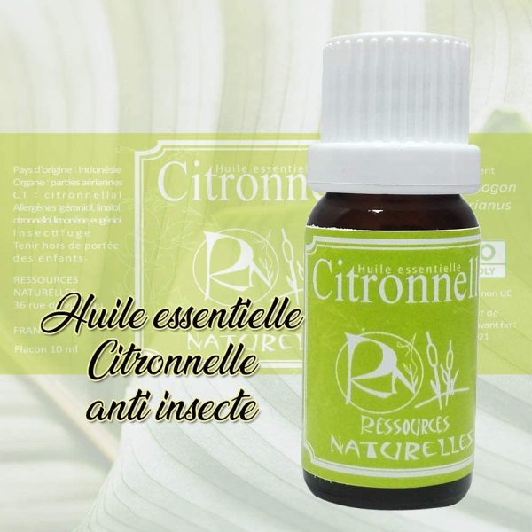 Ressources Naturelles Olio Essenziale Di Citronella Biologica - 10 Ml