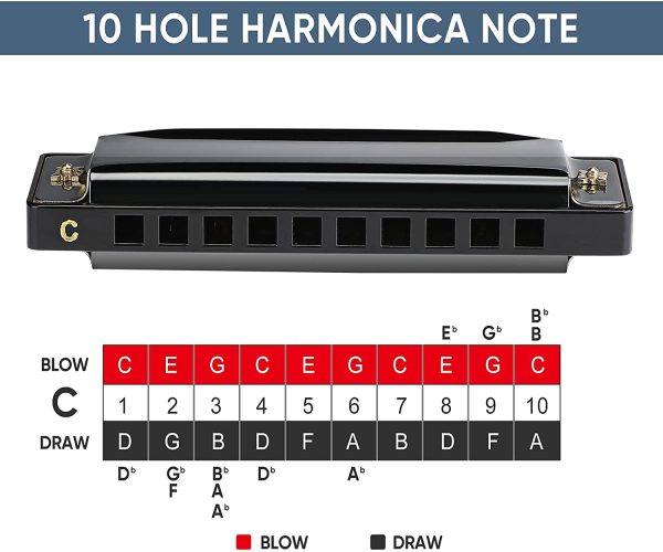 Asmuse Armonica diatonica a 10 fori, 20 toni, chiave di C Blues bocca organo,armonica a bocca, armonica per adulti, principianti, professionisti e studenti (Per i principianti) - immagine 6