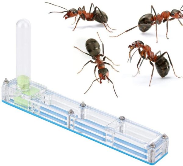 Ant House Formica acrilica Allevamento Casa Formicarium Scatola da esposizione Formica trasparente Alimentazione formica Nido vivente Insetto fattoria Caso idratante con torre d'acqua Idratante (blu) - immagine 5