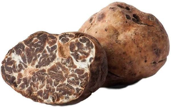 50g Tartufo Bianchetto Marzuolo Fresco 1??Scelta - Tartufi Freschi Tuber Borchii Vitt. - TARTUFO ITALIANO