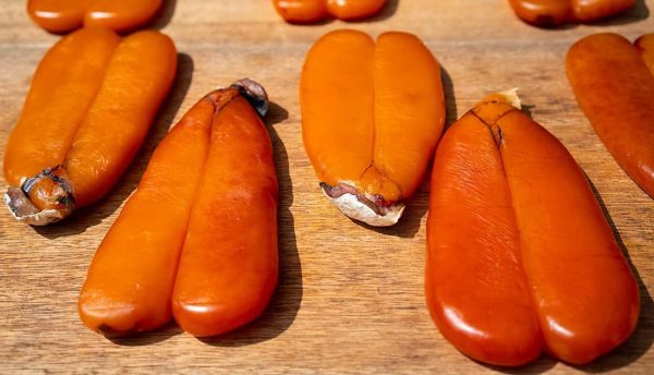 Bottarga di Muggine- Qualit?? Superior- 100 grammi - immagine 5