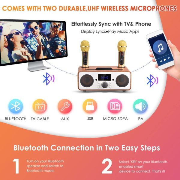 GJCrafts Karaoke Bluetooth Portatile, Sistema di Karaoke PA con 2 Microfoni Wireles, Karaoke Macchina Altoparlante con Supporto per Cellulare/USB, Sostegno Scheda TF/AUX In, per Riunioni, Picnic(Nero) - immagine 2