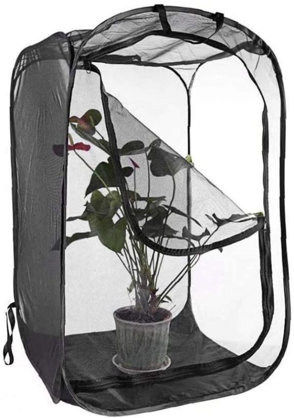 Insect Habitat Cage, Farfalla Habitat Cage Enclosure Caterpillar Casa Insetto Farfalla monarca della Rete della Maglia terrari Gabbia della Maglia per Il Flusso d'Aria Pop Up Kit Insetto - immagine 7