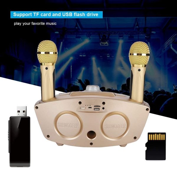 Karaoke System Set, Sistema Karaoke Altoparlante Stereo Bluetooth Senza Fili, Sistema Home Sound Home Altoparlante KTV Karaoke Player 2 Kit Microfono Dinamico, Supporta TF Card/USB(d'oro)