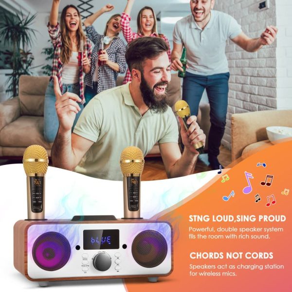 GJCrafts Karaoke Bluetooth Portatile, Sistema di Karaoke PA con 2 Microfoni Wireles, Karaoke Macchina Altoparlante con Supporto per Cellulare/USB, Sostegno Scheda TF/AUX In, per Riunioni, Picnic(Nero) - immagine 3