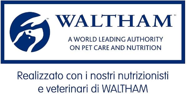 Whiskas Pranzetti in Salsa 1+ Anni 6 x 50 g, Cibo per Gatto con Manzo, Carote, Tacchino, Pollo e Piselli - 12 Confezioni (72 Pezzi in Totale) - immagine 2