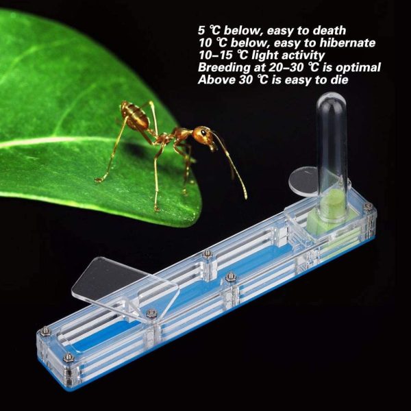 Ant House Formica acrilica Allevamento Casa Formicarium Scatola da esposizione Formica trasparente Alimentazione formica Nido vivente Insetto fattoria Caso idratante con torre d'acqua Idratante (blu) - immagine 3