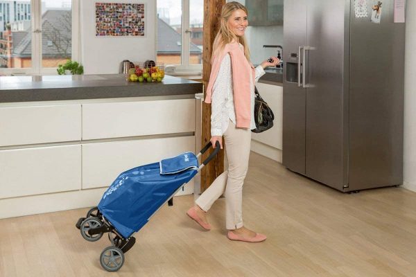 Gimi Twin Carrello Portaspesa 4 Ruote, Portata 30 kg, Richiudibile, Saliscale, Metallo/Poliestere, Blu, 41 x 53 x 92 cm - immagine 5