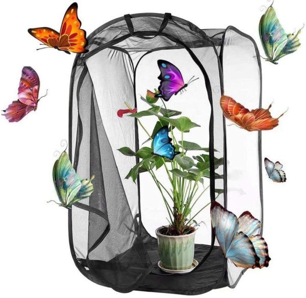 Insect Habitat Cage, Farfalla Habitat Cage Enclosure Caterpillar Casa Insetto Farfalla monarca della Rete della Maglia terrari Gabbia della Maglia per Il Flusso d'Aria Pop Up Kit Insetto - immagine 4