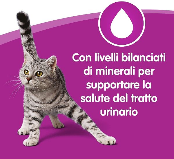 Whiskas Pranzetti in Salsa 1+ Anni 6 x 50 g, Cibo per Gatto con Manzo, Carote, Tacchino, Pollo e Piselli - 12 Confezioni (72 Pezzi in Totale) - immagine 6