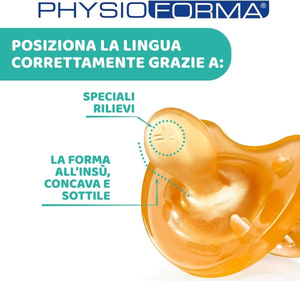 Chicco PhysioForma Ciuccio in Caucciù 16 - 36 Mesi, 2 Pezzi - Set di Gommotti Morbidi e Delicati, Supportano la Respirazione Fisiologica e Favoriscono il Corretto Sviluppo della Bocca - immagine 5