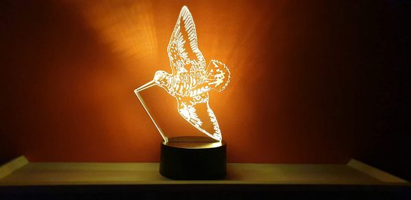 BECCACCIA, Lampada illusione 3D con LED - 7 colori. - immagine 3