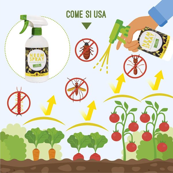 I Consigli Dell'Esperto Spray Olio di Neem Pronto all'Uso - immagine 5