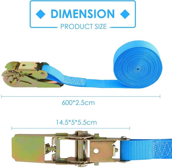 Cinghie a Cricchetto 10 Pezzi, Set di Cinghie di Fissaggio da 6m, 25 mm??Resistenti per Carico 800 kg, per Fissaggio del Carico, Colore Blu - immagine 2