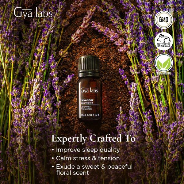 Olio essenziale di lavanda - Un detergente calmante per una bellezza pi?? chiara e notti riposanti (10 ml) - Olio di lavanda di grado terapeutico puro al 100% - immagine 4