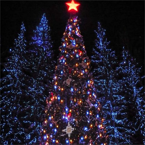 Catena Luminosa, 10m 100 LED 12 modalit?? Luci Natalizie da Esterno, USB/Batteria Luci della Stringa della Palla con Telecomando, Luci di Natale (Multicolore/Bianco Caldo)