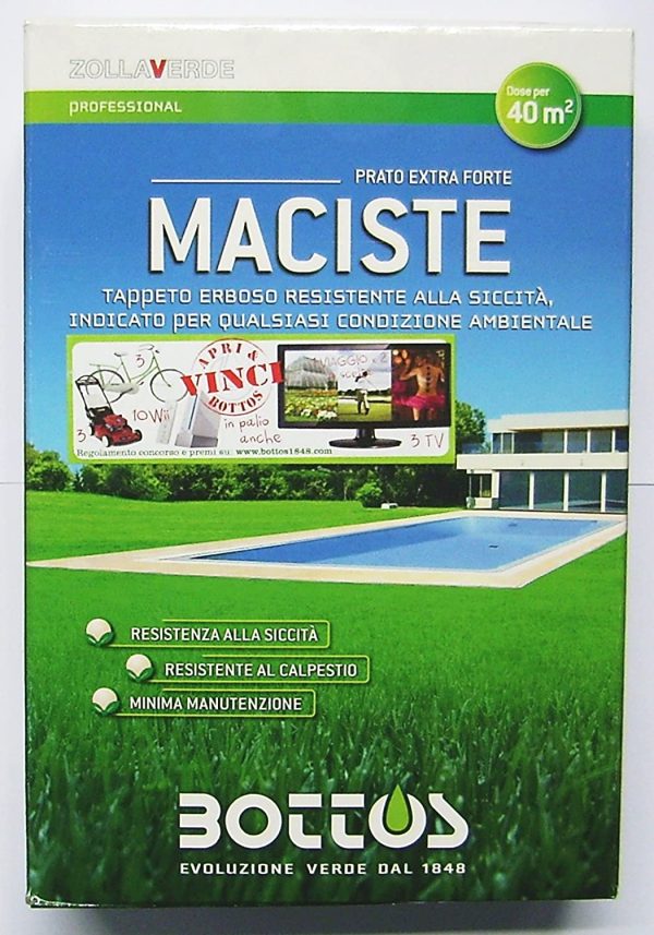 Maciste - Sementi per tappeto erboso - Ideale per zone aride - 1 Kg