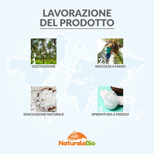 Olio di Cocco Biologico Vergine 1000 ml. Crudo e Spremuto a Freddo. Organico e Naturale. Bio Nativo e non Raffinato. Origine Sri Lanka. NATURALEBIO - immagine 4