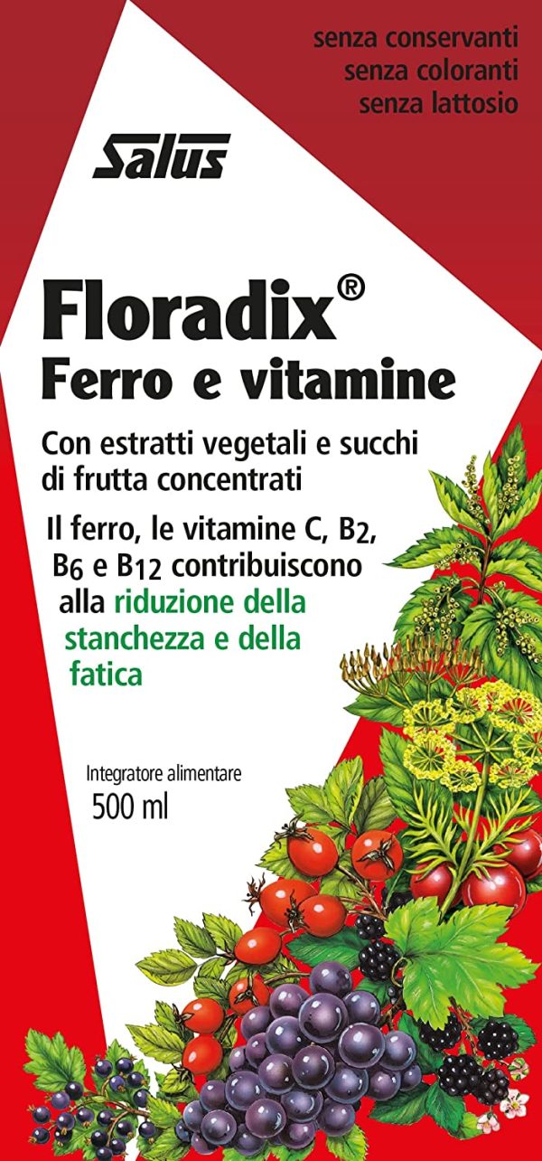 Floradix Integratore Alimentare d'Erbe Ricca di Ferro, 500 ml