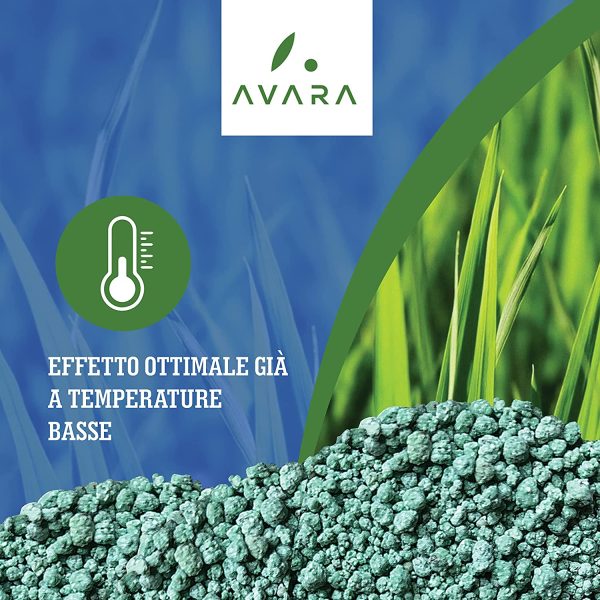 AVARA PRIMAVERA concime prato primavera - prato fitto, verde intenso e robusto anziche muschio ed erbacce - Ideale per l'uso di robot rasaerba - 70m2