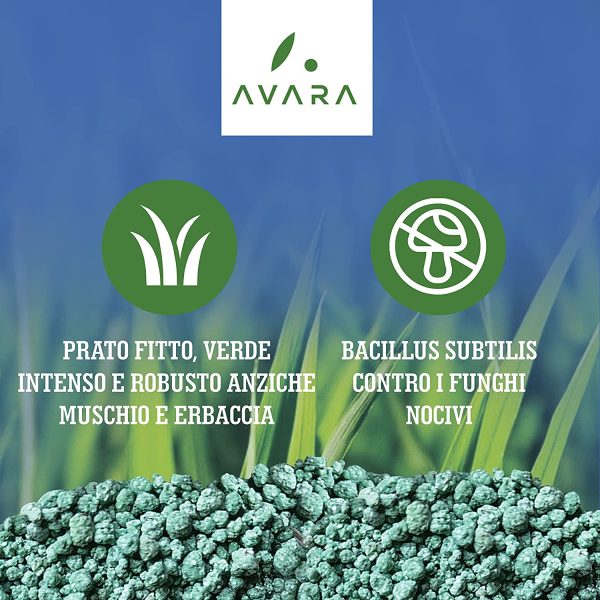 AVARA PRIMAVERA concime prato primavera - prato fitto, verde intenso e robusto anziche muschio ed erbacce - Ideale per l'uso di robot rasaerba - 70m2 - immagine 2